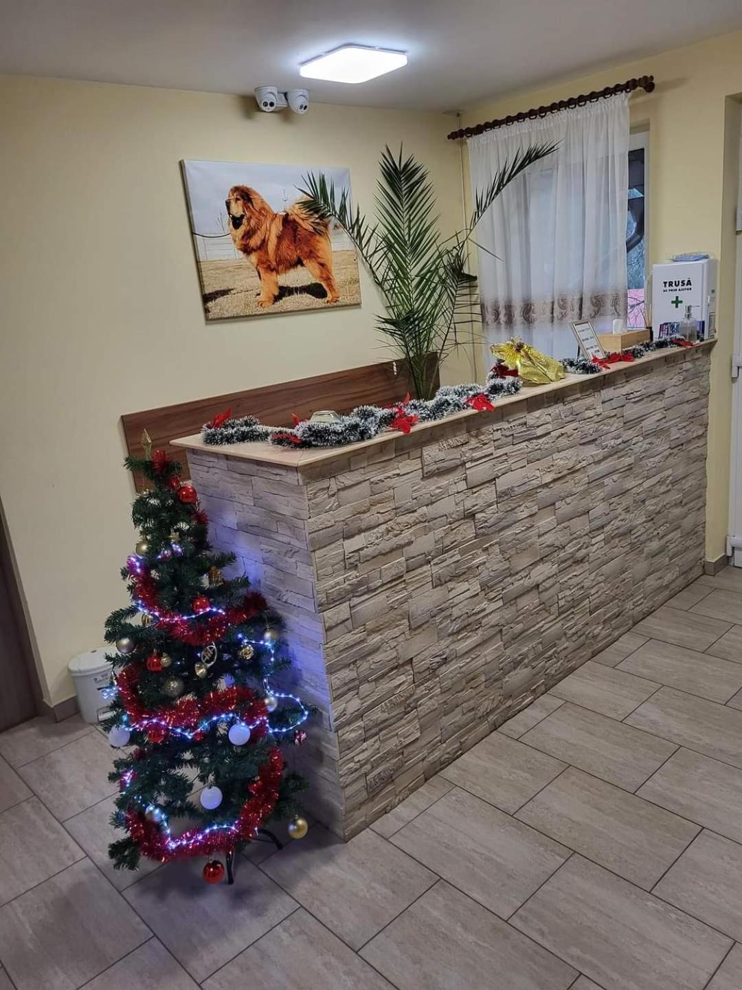 Thor Si Cora Hotel Sovata Bagian luar foto